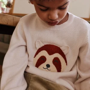 pull enfant laine bio